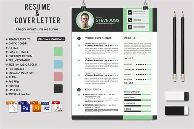 专业的简历模板 Resume