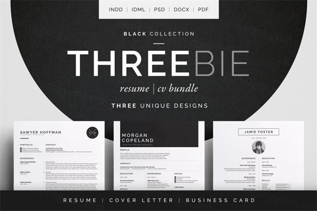 简约高端简历模板包 Threebie Resume CV Bundle