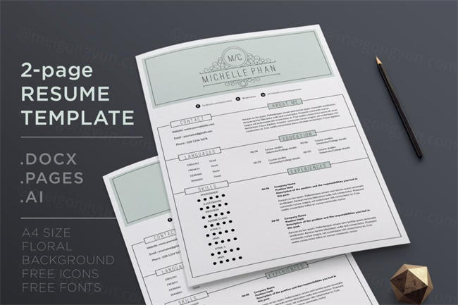 2页经典的简历模板 2 page CV template