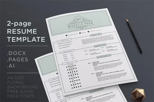 2页经典的简历模板 2 page CV template