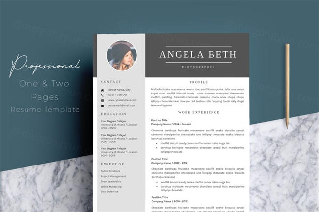 专业的简历模版 Résumé Templates