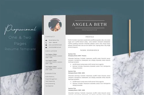 专业的简历模版 Résumé Templates