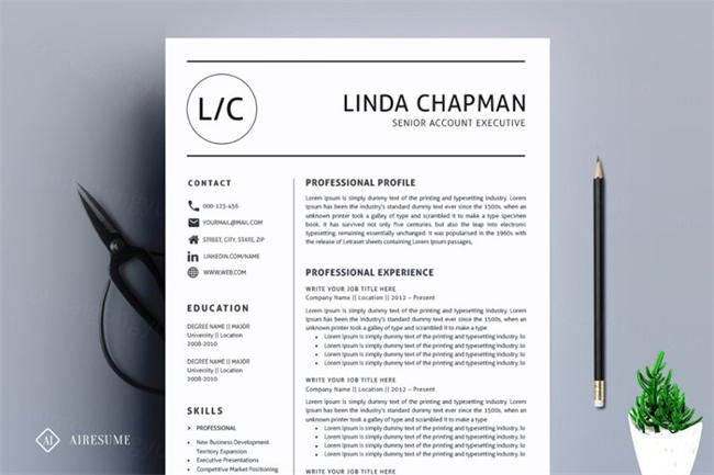 专业简历简历模板 Professional Resume CV Template