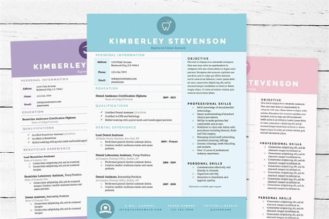 3种颜色的简历模版 Resume 3pk Template Package