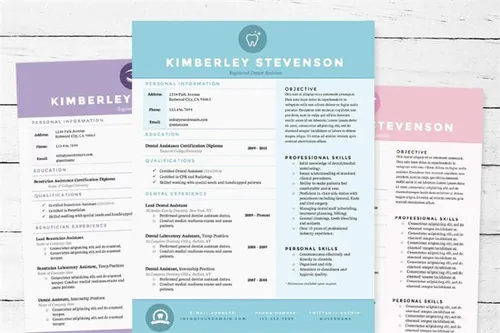 3种颜色的简历模版 Resume 3pk Template Package