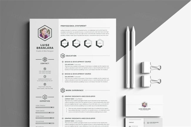 极简主义简历模版 Minimal Resume CV