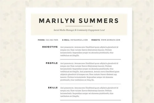 经典的简历模版 Classic Resume Template Package