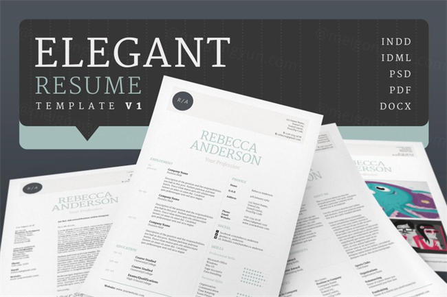优雅的简历模版 Elegant Resume CV Version 1
