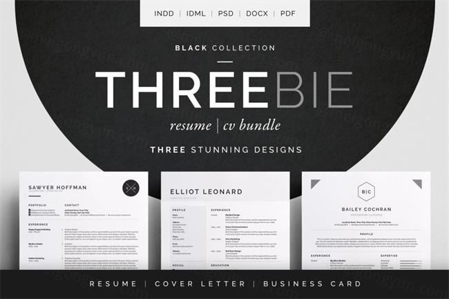 极简高端简历模版 Threebie Resume CV Bundle 4