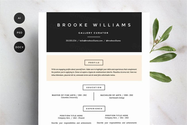 时尚简历模板 Resume Template 4 Pack CV Template