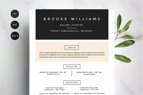 时尚简历模板 Resume Template 4 Pack CV Template