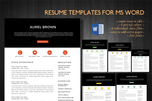 现代Word简历模板二合一 2 in 1 Modern Word resume pack