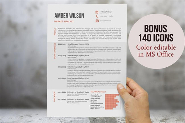 现代带图表的简历模板 Modern chart resume template