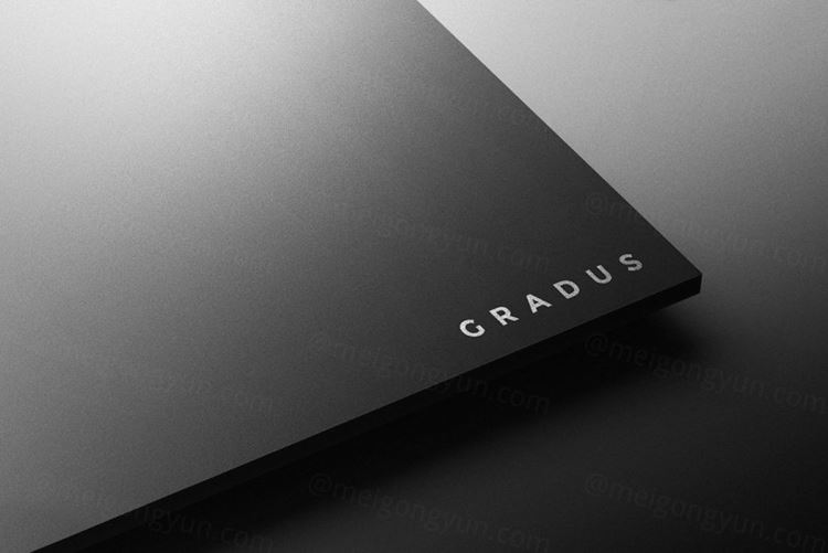 高品质UV压印烫金烫银工艺LOGO设计提案样机模板 Logo