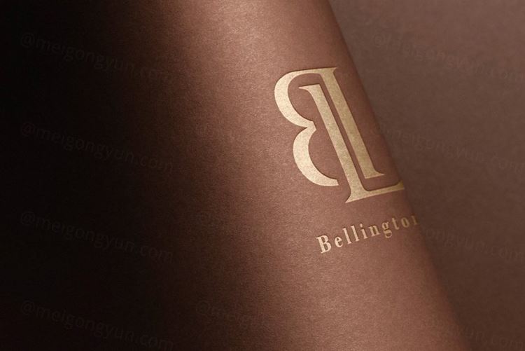 高品质弯曲纸张UV压印烫金烫银工艺LOGO设计提案样机模板