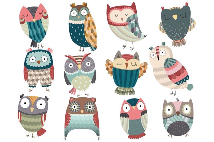 Cute Owl Set Vector-amp; PNG Pack