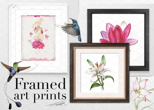 水彩花卉插画元素大合集 Watercolor Bundle