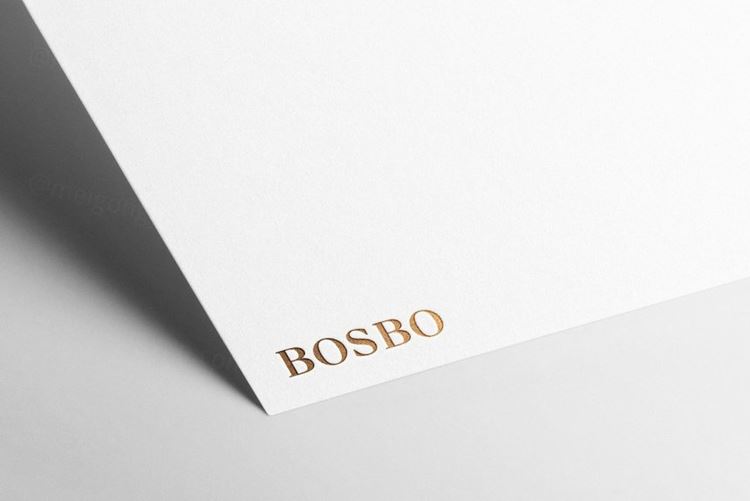 高品质UV压印烫金烫银工艺LOGO设计提案样机模板 Logo