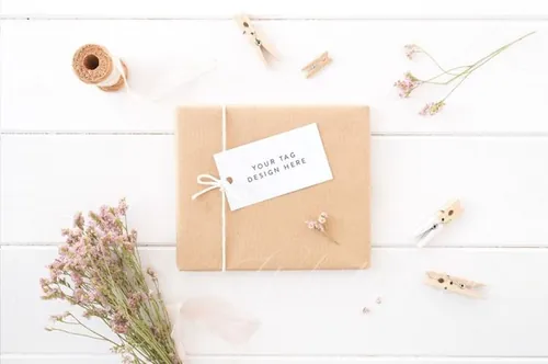 简约主义风礼品标签样机 styled stock image