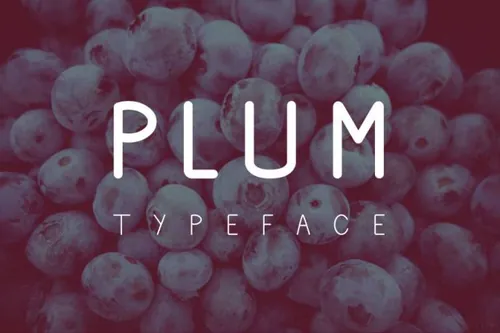 一款艺术圆角英文字体Plum Fun Typeface