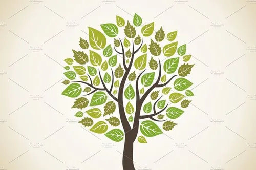 一颗大树插图设计素材Tree