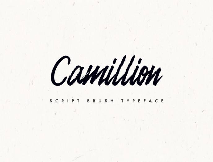 一款笔刷手写英文字体Camellion Brush Script Typeface