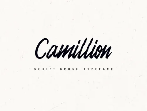 一款笔刷手写英文字体Camellion Brush Script Typeface