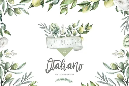 手绘水彩意大利橄榄枝月桂树枝设计素材 Watercolor-