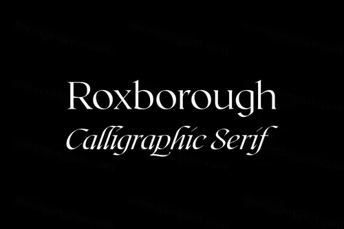 个性设计字体 Roxborough CF calligraphic serif