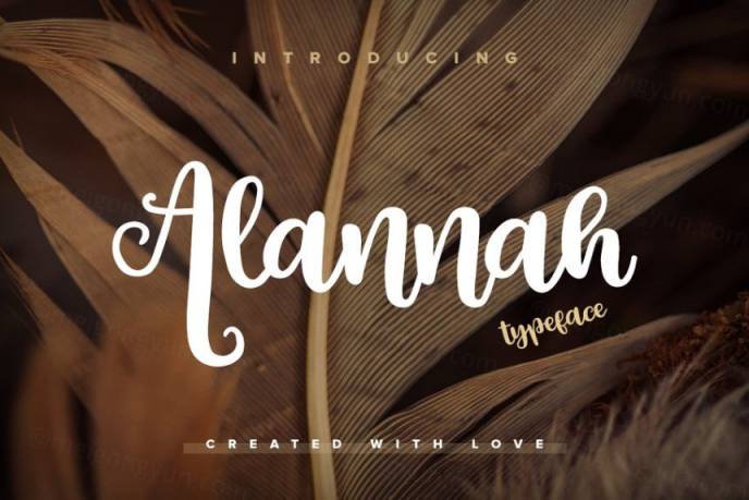 手写草书字体 Alannah Typeface