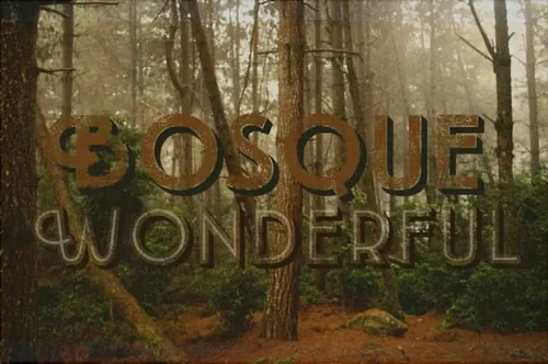 复古个性字体 Emblema Headline 1SWASH