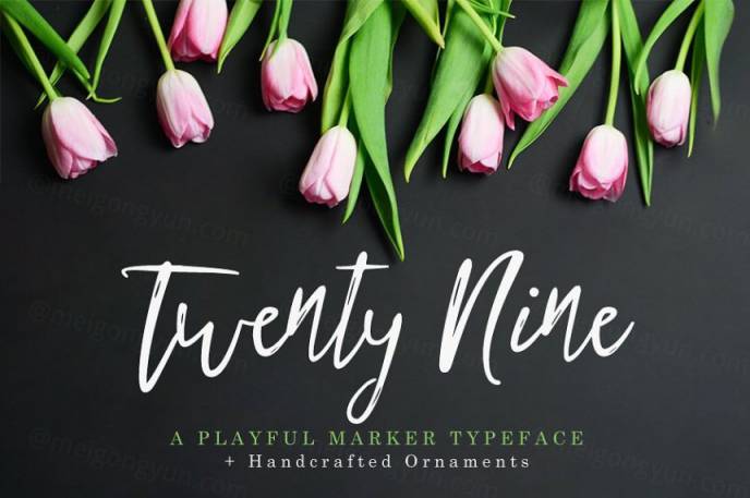 手写脚本字体 Twenty Nine Font   Bonus