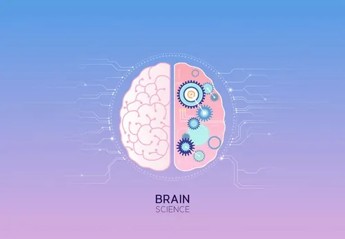 Brainb Science 大脑神经网络人工智能AI矢量插图素材 tid249a1702