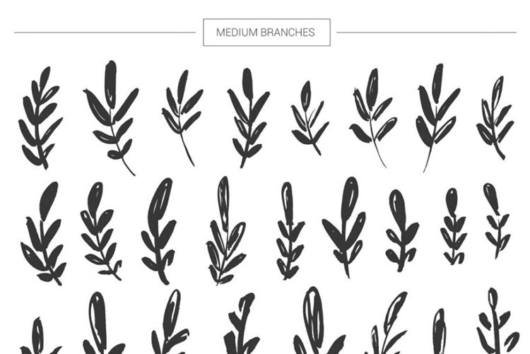 矢量手绘花卉植物插画设计素材  Floral-mega-bu