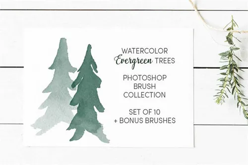 13个水彩常绿树(圣诞松树)笔刷集合Watercolor_Evergr