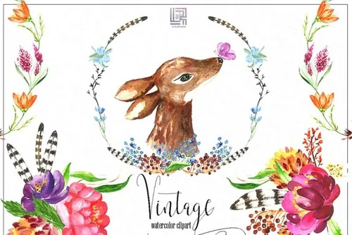 复古花卉和浆果水彩插画素材 Vintage flowers