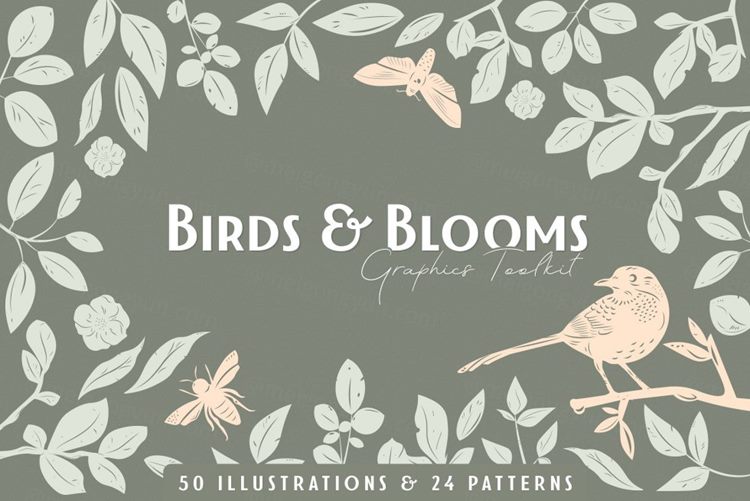 鸟类和花朵矢量图形设计素材 Birds-Blooms-Gra