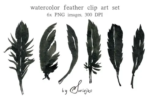 Watercolor Feather