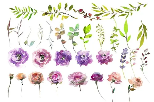 春季花开水彩花卉插画 Spring Blossom Wate