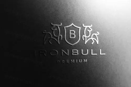 高品质特种纸起凸工艺LOGO设计提案样机模板 Logo Mo