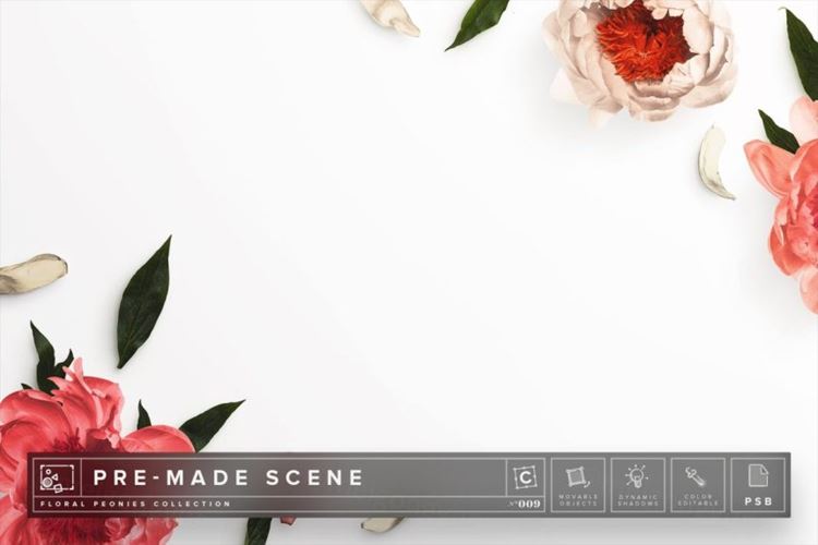 牡丹花花卉场景样机 Floral Peonies Mockup Scene