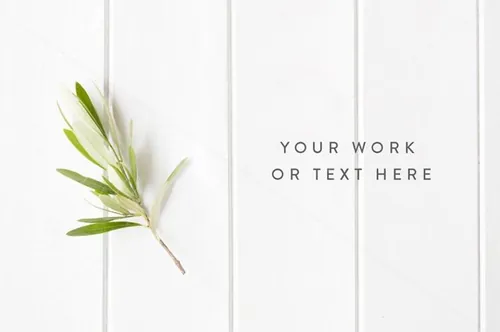 时尚的婚礼照片素材包 Styled stock photography