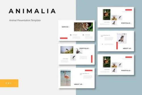 时尚高端优雅多用途简约风格animalia-animal-google