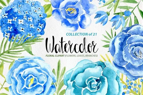 手绘蓝色玫瑰水彩画花卉剪贴画素材 Watercolor bl