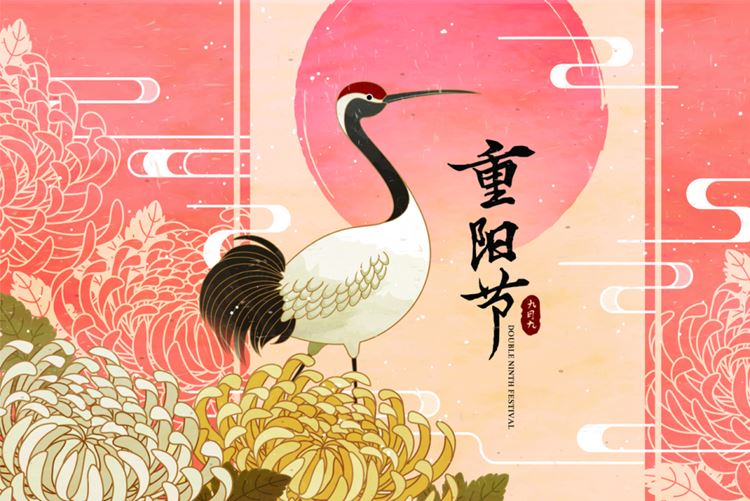 九九重阳节菊花飞鹤东方复古传统矢量海报模板 Double ninth festival
