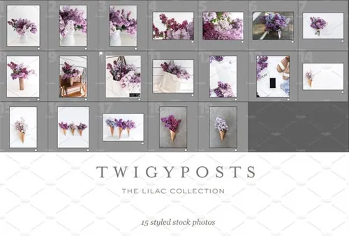 花卉配图场景样机模板 Lilac Styled Stock Photo Bundle