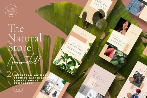 欧美杂志风天然时尚高端Instagram故事动画模板 Natural Store