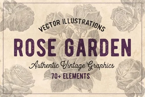 70幅手绘复古玫瑰花矢量插画素材 Vintage Rose