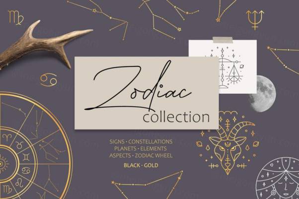 黄道十二宫和星座图标amp;amp;插画素材
