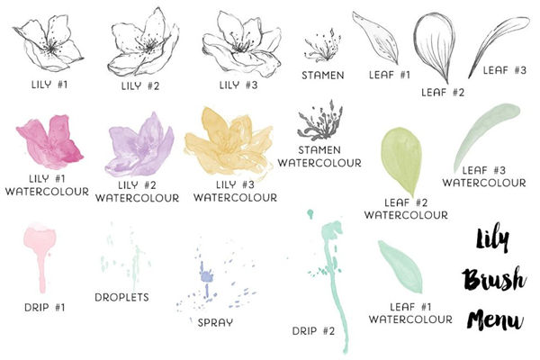 花卉PS笔刷 Floral Photoshop Brushes